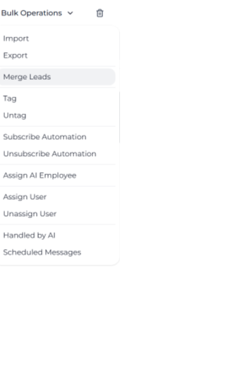 Merge Leads option in the Bulk Operations menu on the Leads page